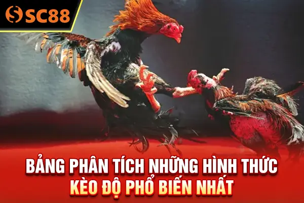 Bảng phân tích những hình thức kèo độ phổ biến nhất