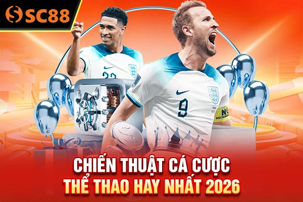 Chiến thuật cá cược thể thao hay nhất 2026
