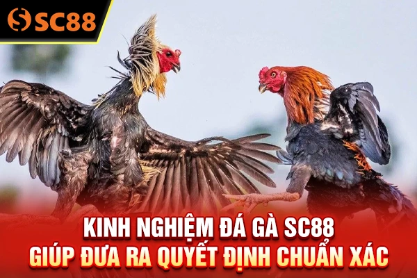 Kinh nghiệm đá gà SC88 giúp đưa ra quyết định chuẩn xác