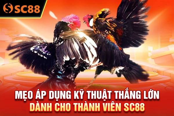 Mẹo áp dụng kỹ thuật thắng lớn dành cho thành viên SC88