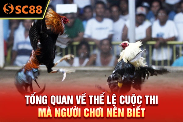 Tổng quan về thể lệ cuộc thi mà người chơi nên biết
